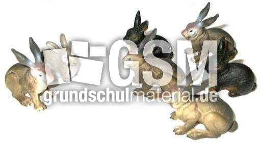 Hasen2+5.jpg